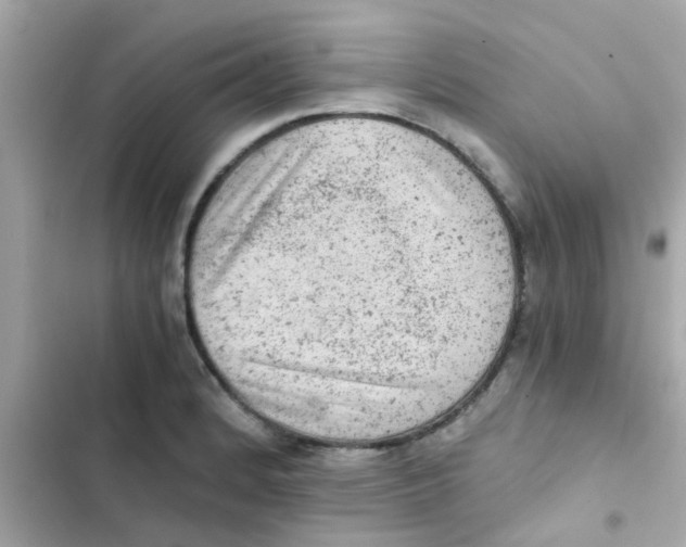 X0000103161184200809192046