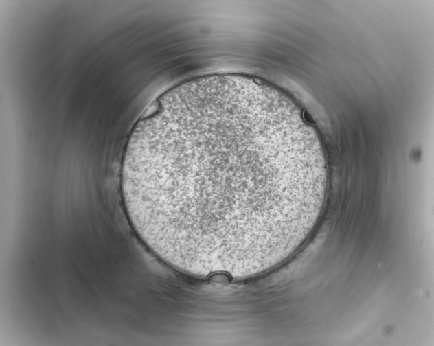 X0000103161185200809192046