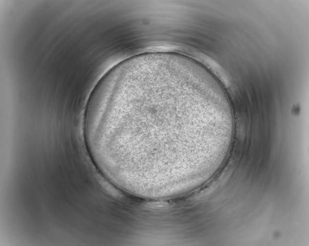 X0000103161186200809192046