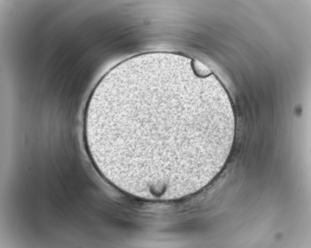 X0000103161187200809192046