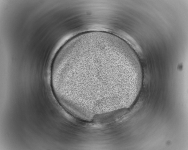 X0000103161188200809192046