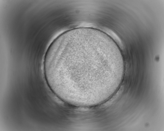 X0000103161190200809192046