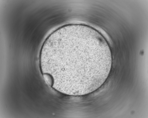 X0000103161191200809192046