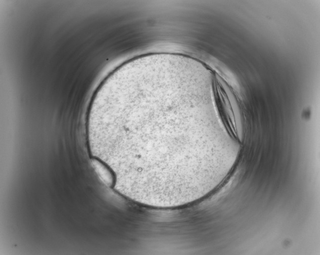 X0000103161192200809192046