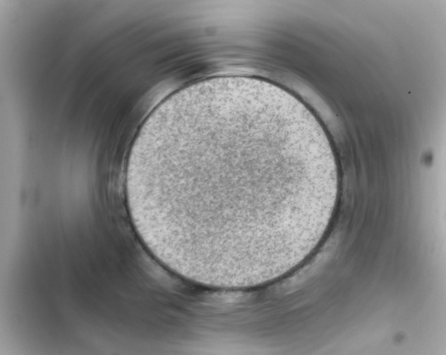 X0000103161193200809192046