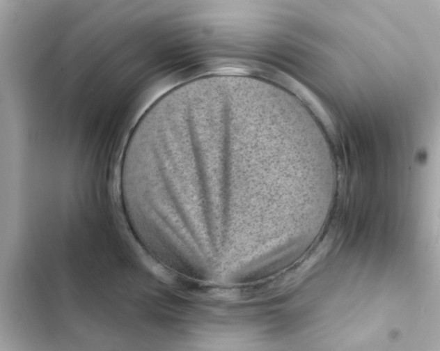 X0000103161194200809192046