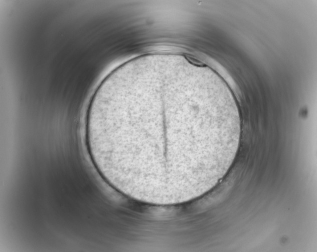 X0000103161195200809192046