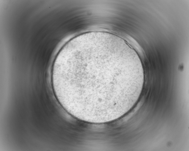X0000103161196200809192046