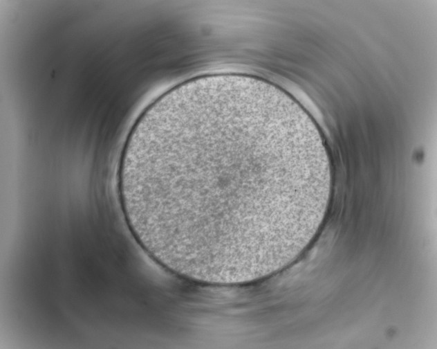 X0000103161197200809192046