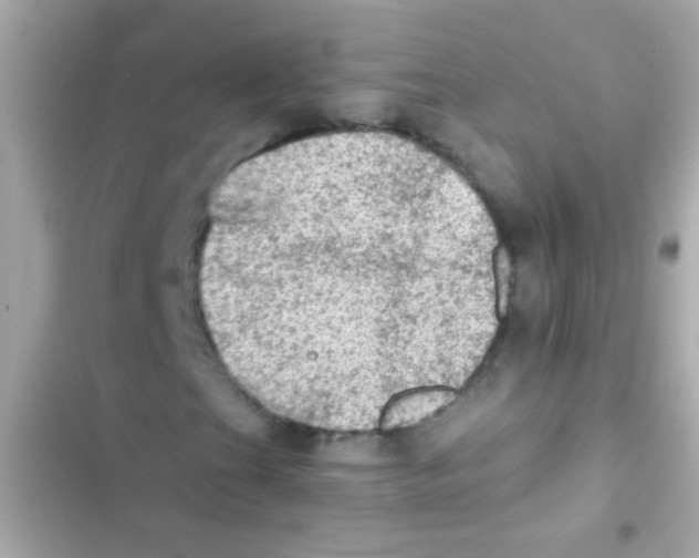 X0000103161201200809192045