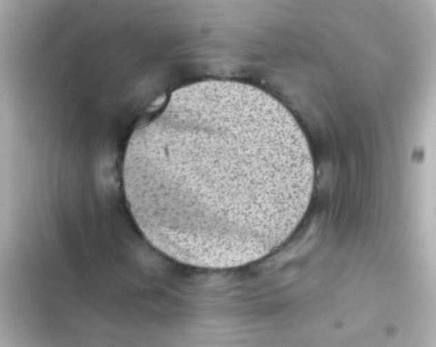 X0000103161202200809192045