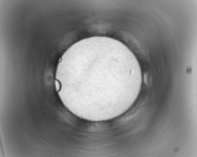 X0000103161203200809192045