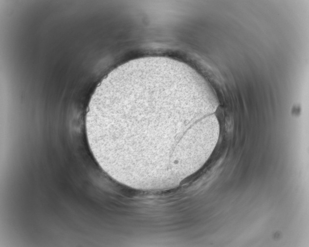 X0000103161204200809192045