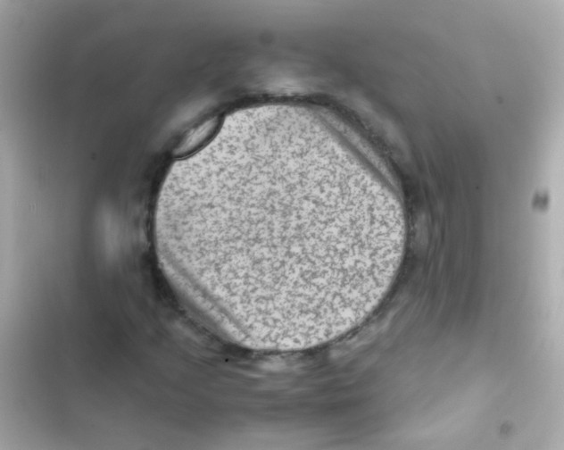 X0000103161205200809192045