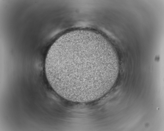 X0000103161206200809192045