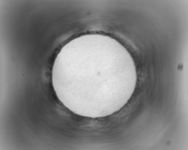X0000103161207200809192045