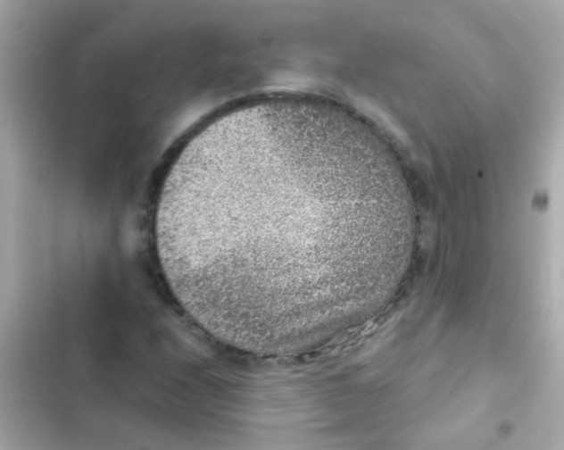 X0000103161208200809192045