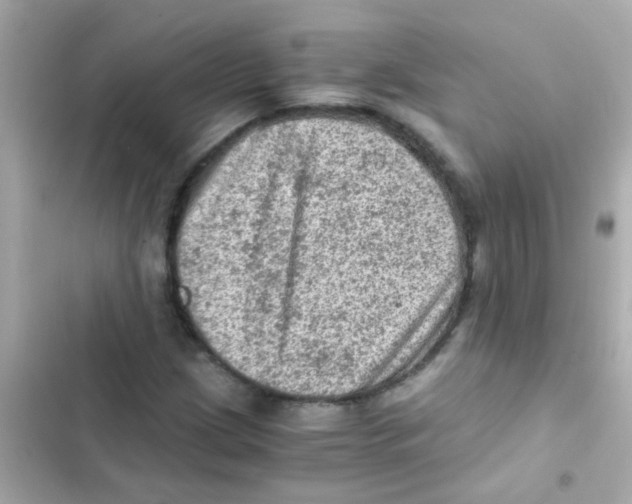X0000103161209200809192045