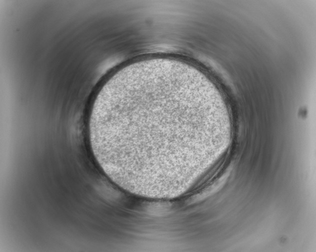 X0000103161210200809192045