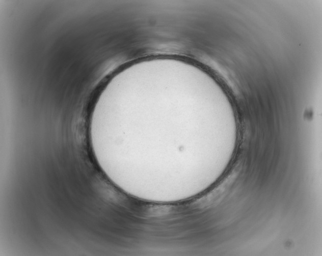 X0000103161211200809192045