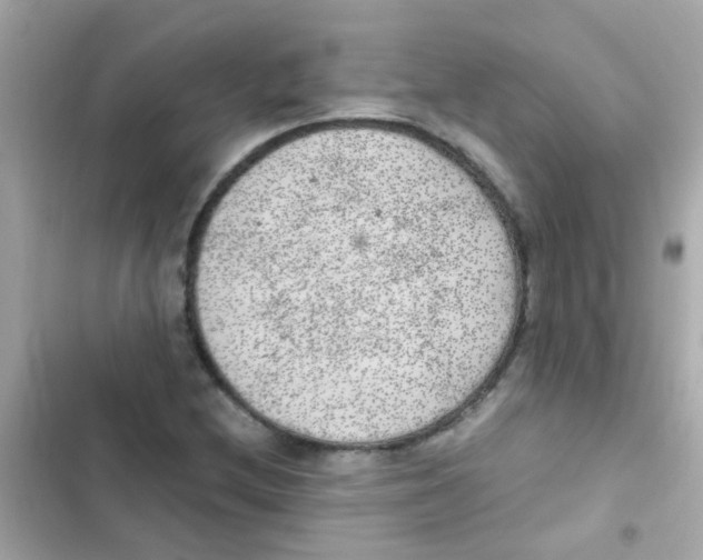 X0000103161212200809192045
