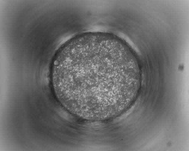 X0000103161213200809192045