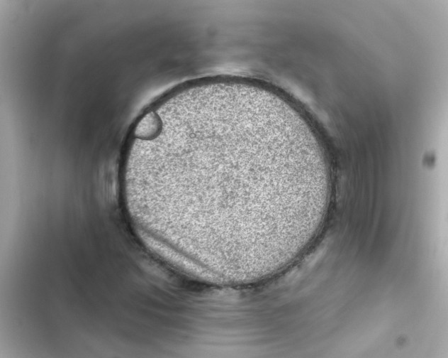 X0000103161214200809192045