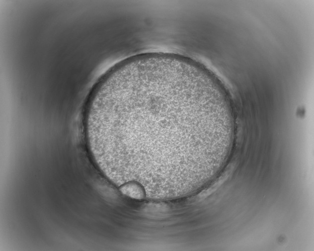X0000103161215200809192045