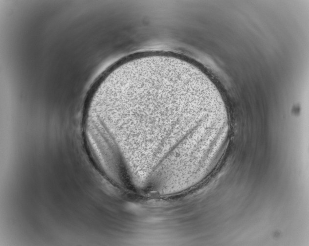 X0000103161216200809192045