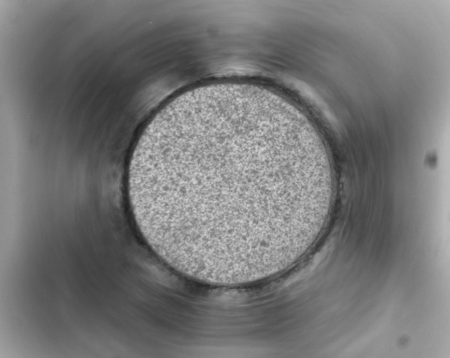 X0000103161217200809192045