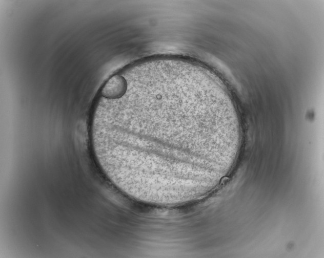 X0000103161218200809192045
