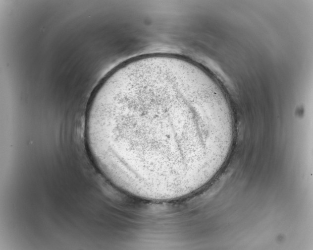 X0000103161220200809192045