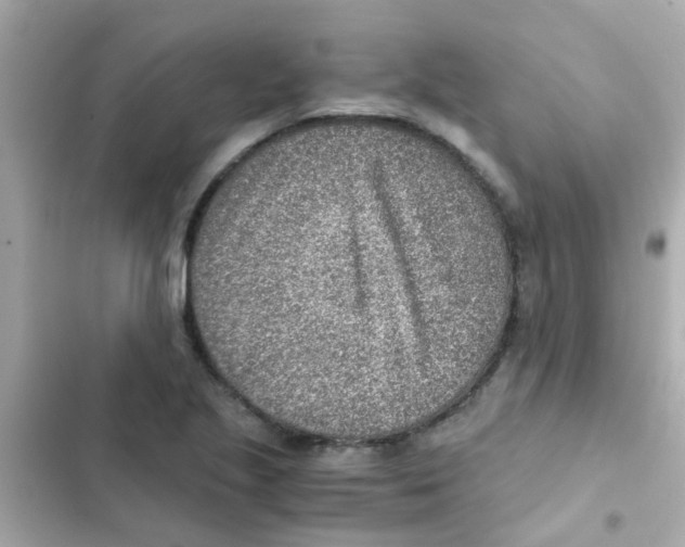 X0000103161221200809192046