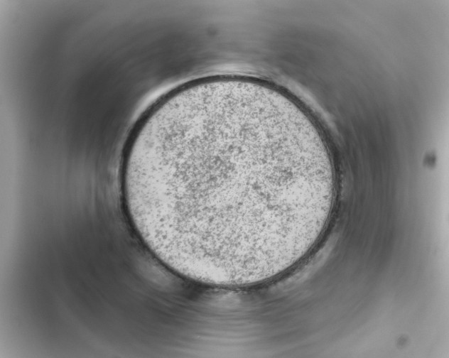 X0000103161222200809192046