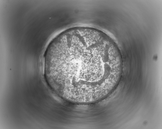 X0000103161223200809192046