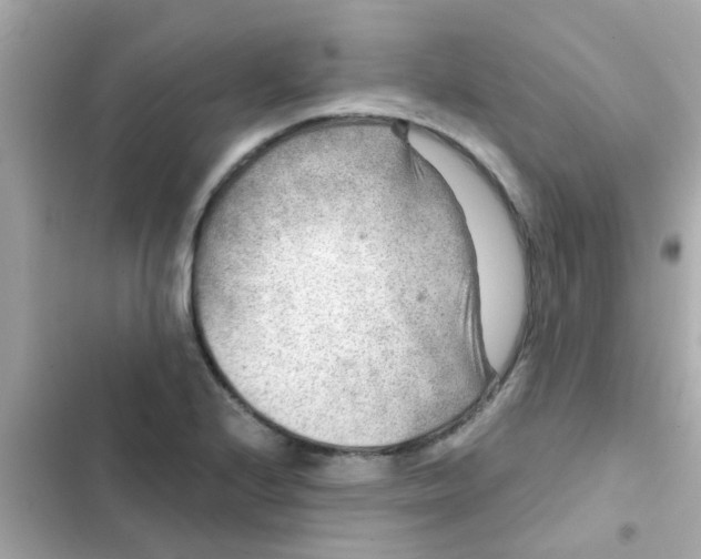 X0000103161224200809192046
