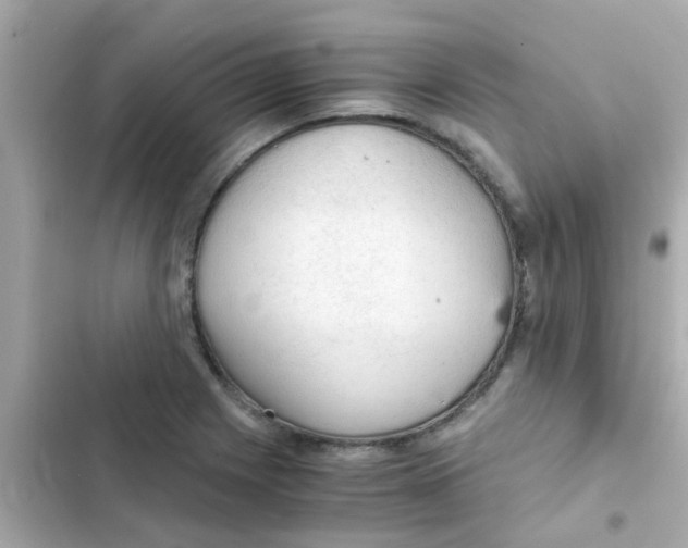 X0000103161225200809192046