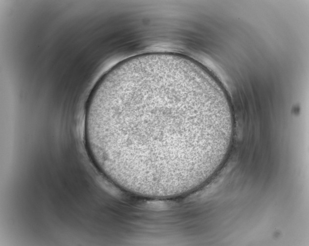 X0000103161227200809192046
