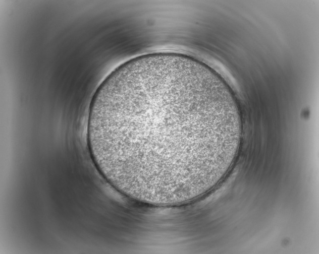X0000103161228200809192046