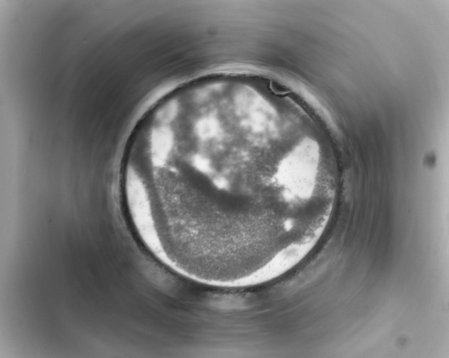 X0000103161229200809192046
