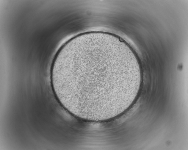 X0000103161230200809192046