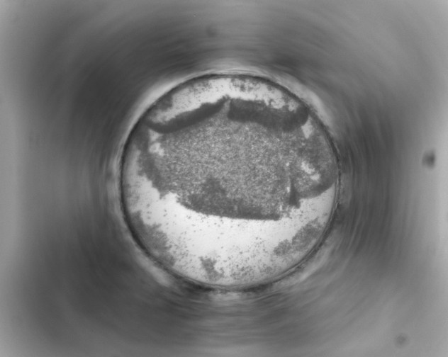 X0000103161231200809192046