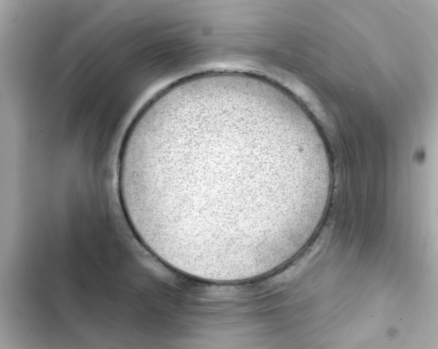 X0000103161232200809192046