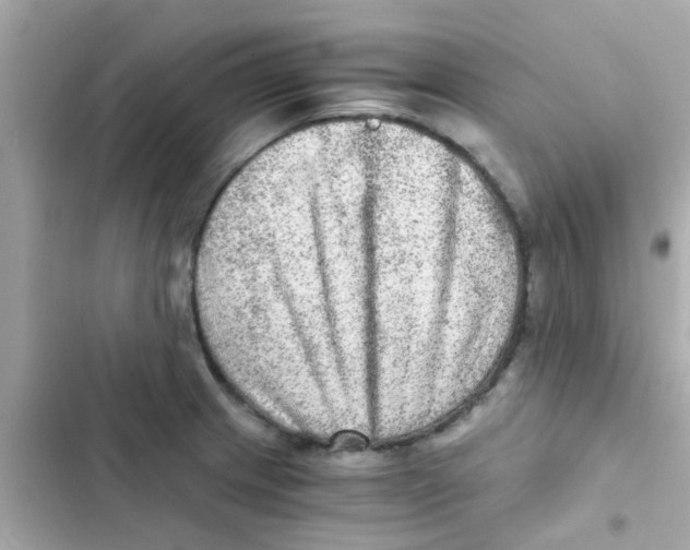 X0000103161233200809192046