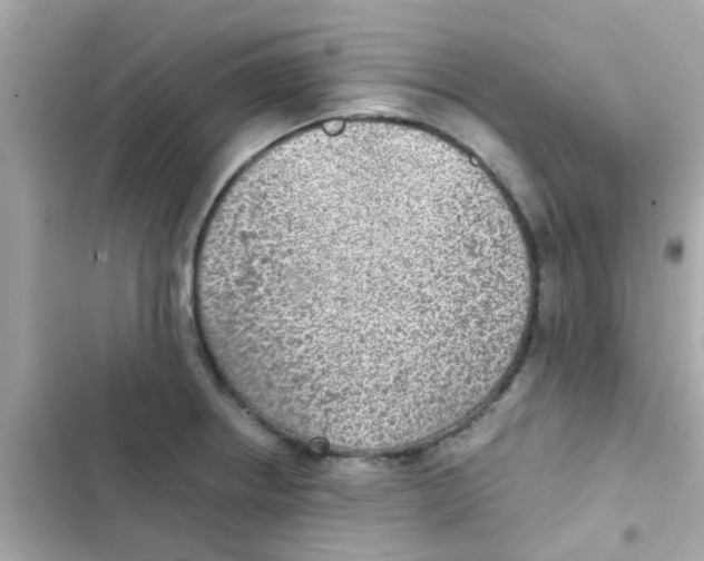 X0000103161234200809192046
