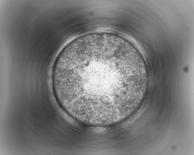 X0000103161235200809192046