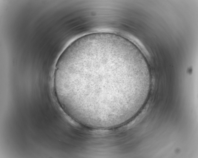 X0000103161236200809192046