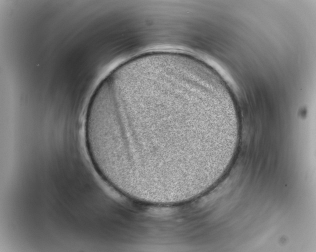 X0000103161237200809192046