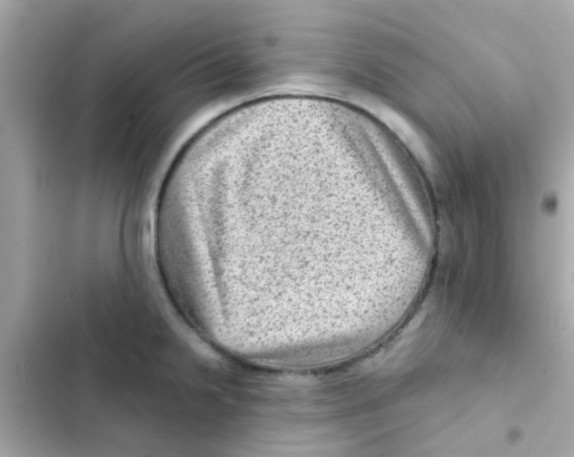 X0000103161238200809192046