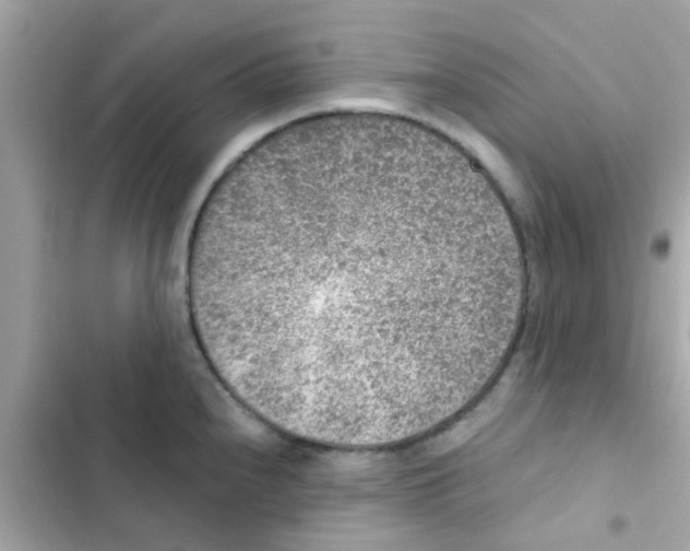 X0000103161240200809192046